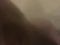 Chassidy